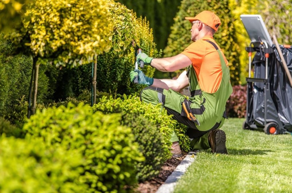 mantenimiento de jardines